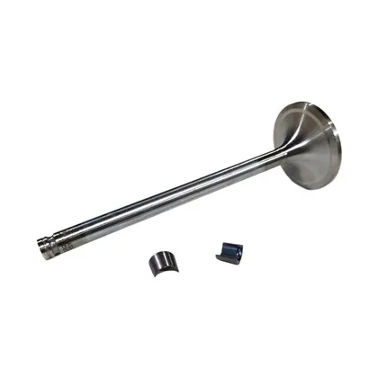 Kit Katup Masuk Suku Cadang Mesin Gas Cummins 6CT 3802812